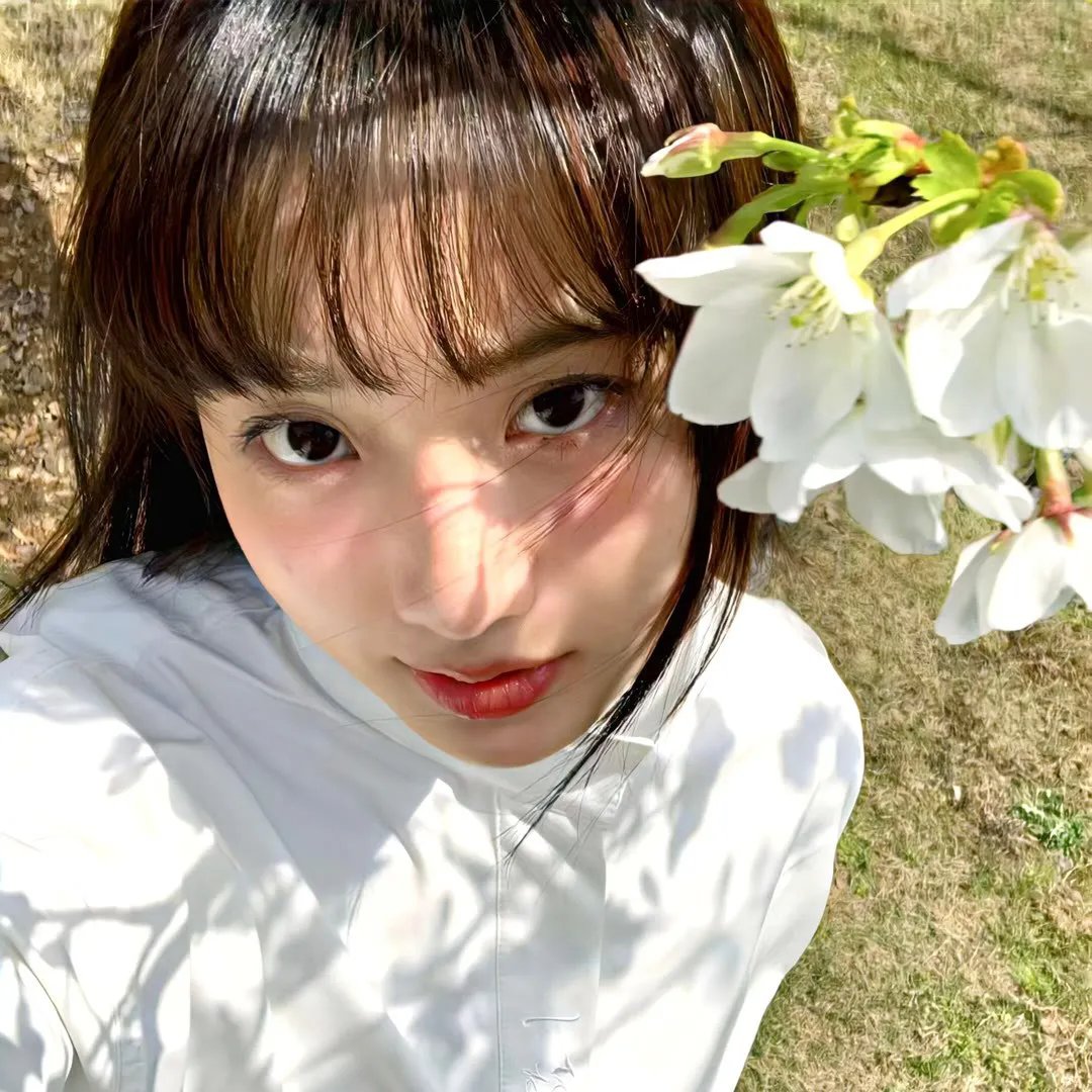 没有岁月可回头